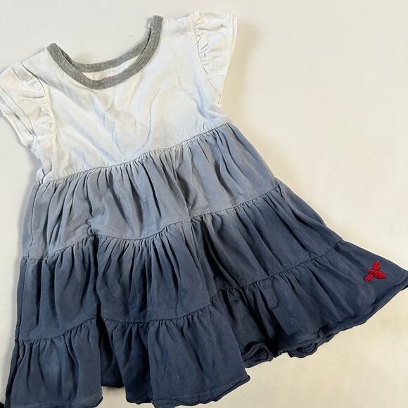 Burt's Bees Baby Ombre' Ruffle Dress 12M - Picture 1 of 5